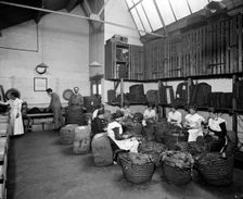 Leaf picking at the Teofani tobacco factory, Chryssel Road, Brixton, London, 1916. Artist: H Bedford Lemere