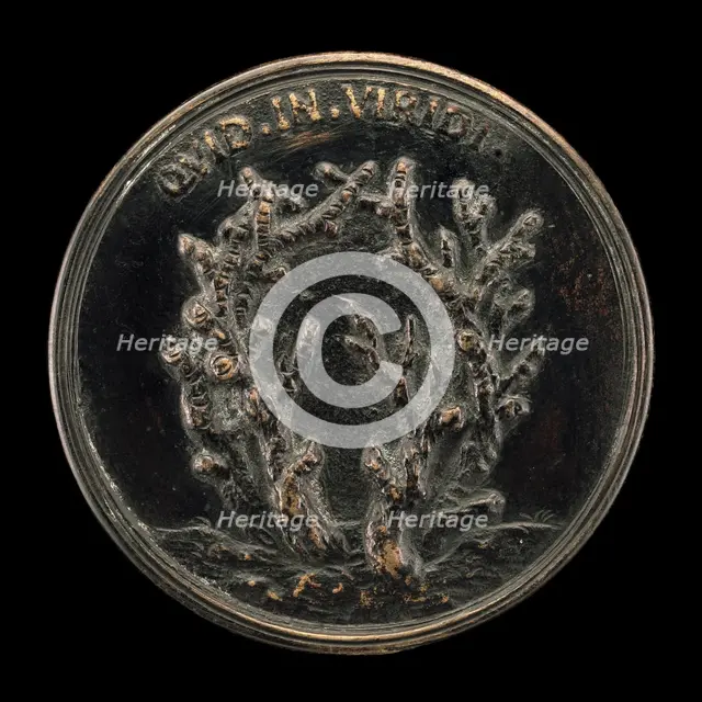 Leafless Branches [reverse], 1739/1744. Creator: Antonio Francesco Selvi.