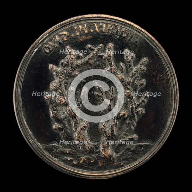 Leafless Branches [reverse], 1739/1744. Creator: Antonio Francesco Selvi.
