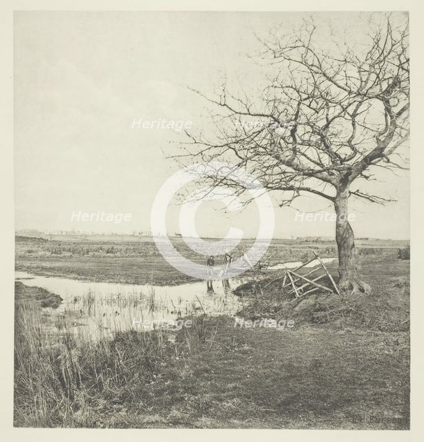 Leafless March (Suffolk), 1878/87, printed 1888. Creator: Peter Henry Emerson.