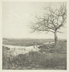 Leafless March (Suffolk), 1878/87, printed 1888. Creator: Peter Henry Emerson