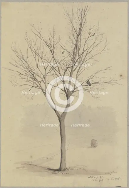 Leafless tree with birds, 1860. Creator: Hans Thoma.