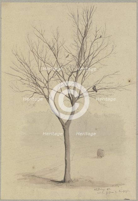 Leafless tree with birds, 1860. Creator: Hans Thoma.