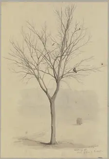 Leafless tree with birds, 1860. Creator: Hans Thoma