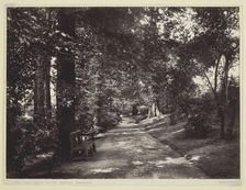 Leamington, in the Jephson Gardens, 1860/94. Creator: Francis Bedford