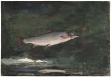 Leaping Trout, 1889. Creator: Winslow Homer (American, 1836-1910)