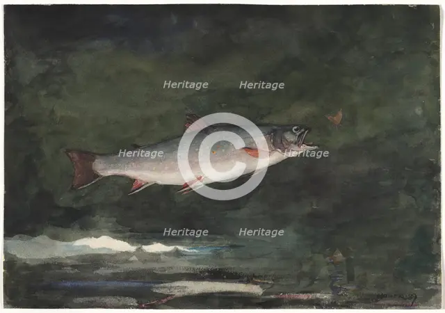 Leaping Trout, 1889. Creator: Winslow Homer (American, 1836-1910).