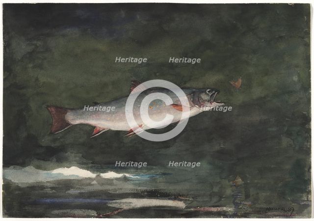 Leaping Trout, 1889. Creator: Winslow Homer (American, 1836-1910).