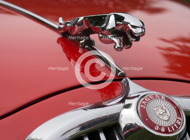 Leaping cat mascot on Jaguar 3.8 litre