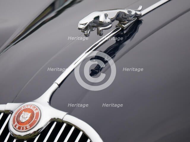 Leaping cat mascot on Jaguar XK150