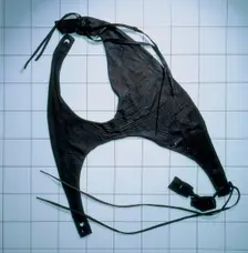 Leather bikini trunks, Roman, (1st century?). Creator: Unknown