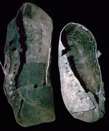Leather shoes from salt mines, 6th century BC