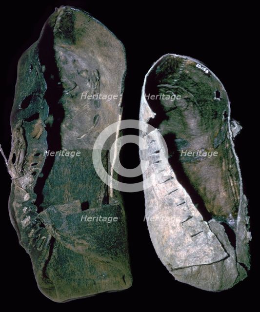 Leather shoes from salt mines, 6th century BC. Artist: Unknown