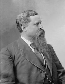 Lee, General Fitzhugh, CSA (not in uniform), between 1870 and 1880. Creator: Unknown