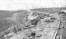 L'effort allemand sur Souville; Un coin de cauchemar: le "ravin de la Mort"..., 1916 (1924) Creator: Unknown