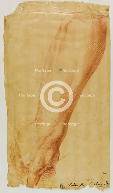 Left Arm of a Hunter, n.d. Creator: Bernard Baron.