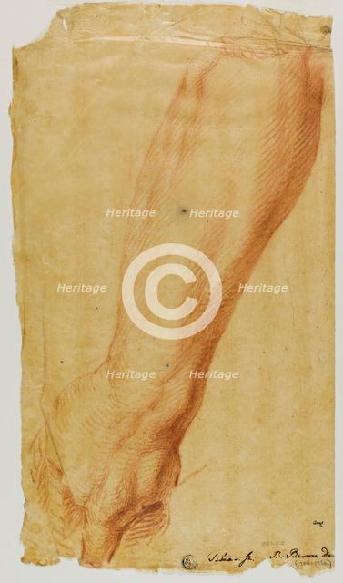 Left Arm of a Hunter, n.d. Creator: Bernard Baron.