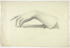 Left Forearm and Hand, n.d. Creator: Elizabeth Murray