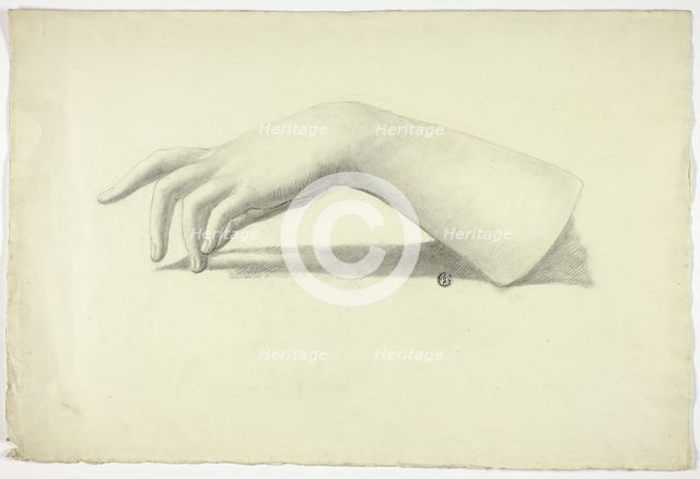 Left Forearm and Hand, n.d. Creator: Elizabeth Murray.