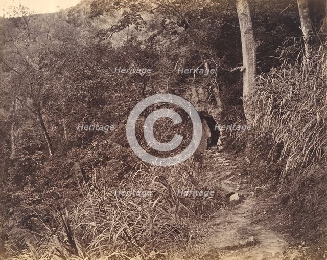 Left Road up to Yuen foo Monastery, ca. 1869. Creator: Afong Lai.