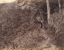 Left Road up to Yuen foo Monastery, ca. 1869. Creator: Afong Lai