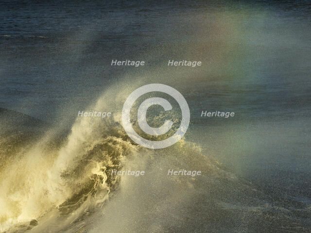 Legacy. Creator: Eve Turek.