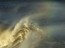 Legacy. Creator: Eve Turek