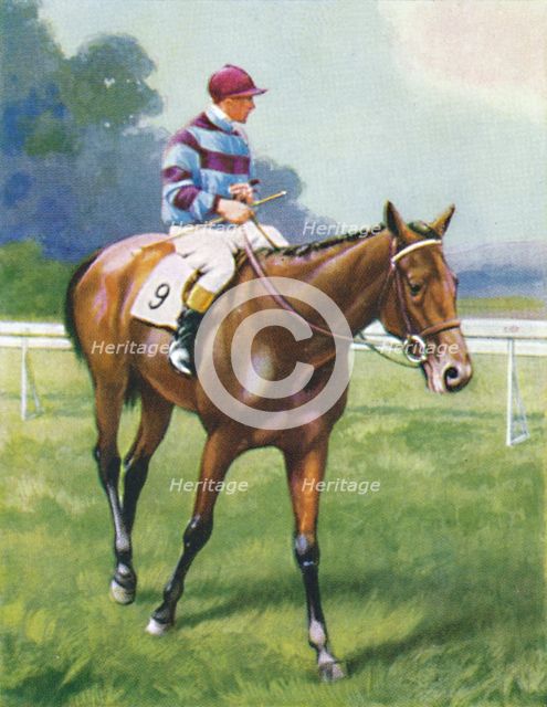 Legend of France, Jockey: A. Richardson', 1939. Artist: Unknown.