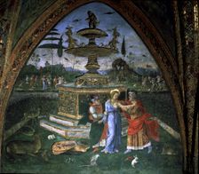 Legend of the pure Suzanne 1492 - 1495, fresco by Il Pinturicchio