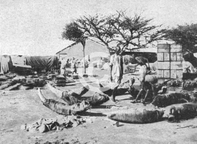 ''L'emballage des dents d'elephants pour l'exportation; Le Nord-Est Africain', 1914. Creator: Charles Chusseau-Flaviens.