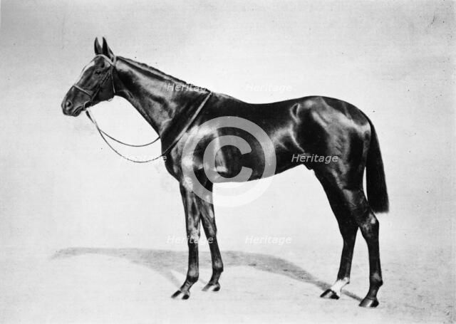 'Lemberg', 1911. Artist: Unknown.