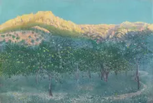 Lemon trees, Mallorca