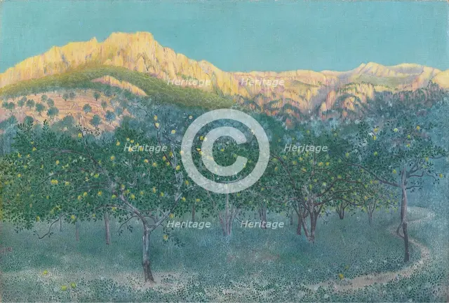 Lemon trees, Mallorca.