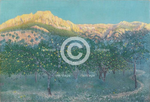 Lemon trees, Mallorca.