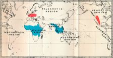 Lemuroidea - I. Map, Showing the distribution of Living (Blue) and Fossil (Red) 1897