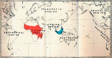 Lemuroidea - II. Map, Showing distribution of Tarsiidae (Blue), and Galaginae (Red), 1897