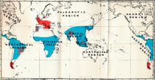 Lemuroidea - IV. Map, Showing distribution of Living (Blue) and Fossil (Red) Anthropoidea , 1897