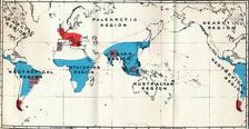 Lemuroidea - IV. Map, Showing distribution of Living (Blue) and Fossil (Red) Anthropoidea , 1897