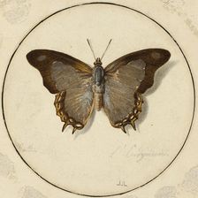 L'Endymien, n.d. Creator: Jean Louis Ernest Meissonier