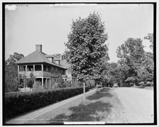 Lenox Street, Chevy Chase, Washington, D.C. i.e. Maryland, between 1900 and 1906. Creator: Unknown
