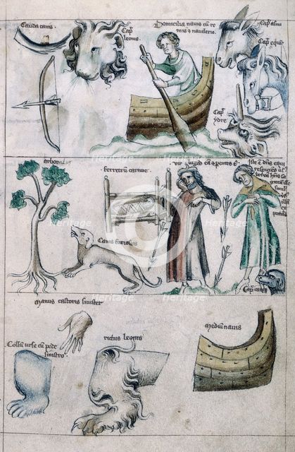 Leo; zodiac treatise, 14th century. Creator: Unknown.