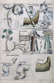 Leo; zodiac treatise, 14th century. Creator: Unknown