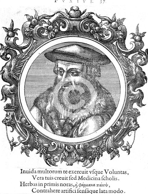 Leonhard Fuchs, German botanist and physician. Creator: Unknown.