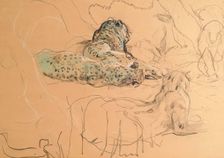 Leopard. Creator: John MacAllan Swan