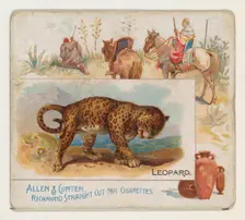 Leopard, from Quadrupeds series (N41) for Allen & Ginter Cigarettes, 1890. Creator: Allen & Ginter