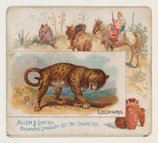 Leopard, from Quadrupeds series (N41) for Allen & Ginter Cigarettes, 1890. Creator: Allen & Ginter