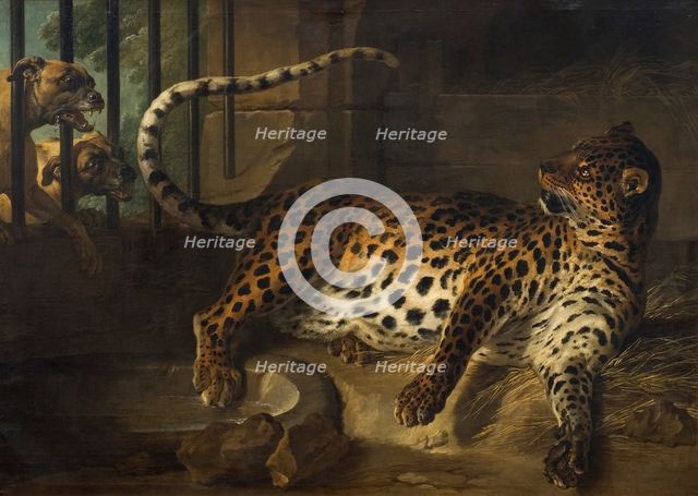 Leopard in a Cage confronted by two Mastiffs, 1739. Creator: Jean-Baptiste Oudry.