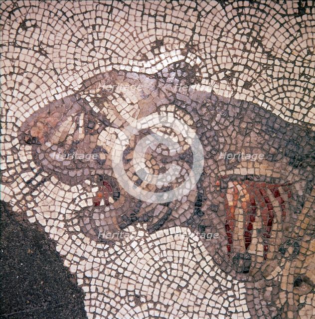 Leopard Mosaic detail, Great Palace, Istanbul, c4th-6th century. Artist: Unknown.