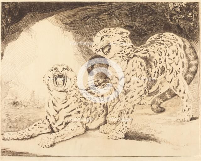Leopards, 1798. Creator: Samuel William Reynolds.
