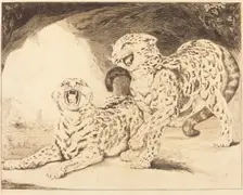 Leopards, 1798. Creator: Samuel William Reynolds
